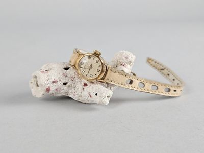 une image représentant une montre-bracelet posée sur un morceau de roche