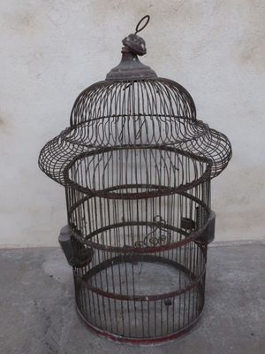 a bird cage with a bird inside of it