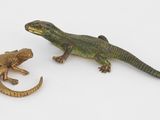 deux figurines représentant un lézard et un autre lézard, posées sur une surface blanche