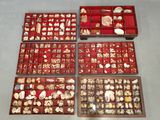 beaucoup de coquillages dans une boîte rouge posée sur la table