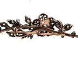 a picture of a brooch with leaves and flowers on it