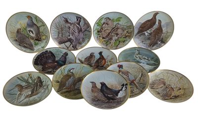 il y a beaucoup d'assiettes décorées d'oiseaux sur la table