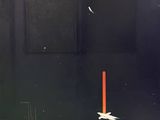 Photo 1/5 du lot