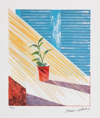 dessin représentant une plante en pot devant une fenêtre aux volets bleus