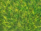 painting of green grass with yellow flowers in a square frame
