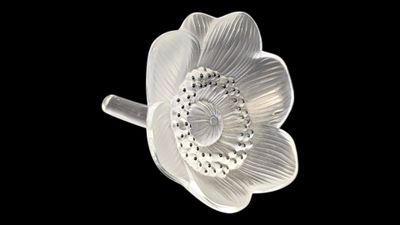 a close up of a white flower on a black background