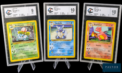 Trois cartes Pokémon différentes sont présentées dans des pochettes en plastique transparent.
