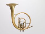 a brass instrument that is sitting on a white surface