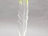 clear acrylic sculpture of a feather on a clear base