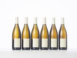 six bottles of white wine lined up in a row