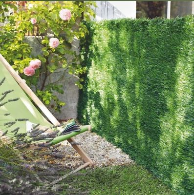 une chaise de jardin posée dans l'herbe, à côté d'une haie