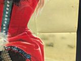 a poster of a woman in a red dress with a gun