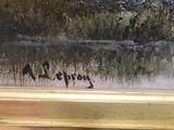 a close up of a painting of a bird on a ledge