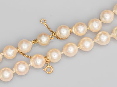 un gros plan sur un collier de perles muni d'un fermoir en or