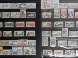 a picture of a collection of stamps on display in a case