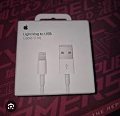 Apple CÃ¢ble Lightning vers USB (1 m)