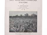 une photo en noir et blanc d'un champ où poussent de nombreuses plantes