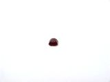 une image montrant un morceau de grenatite rouge posé sur une surface blanche