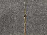 gold plated floor lamp with a pink flower on a stand