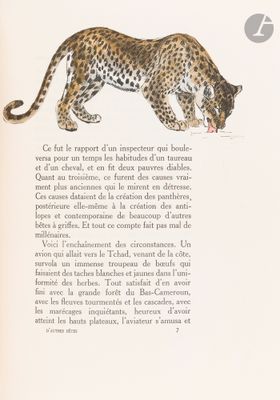 illustration of a leopard walking across a page in a book