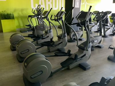 des rangées de vélos d'appartement dans une salle de sport avec un mur végétalisé
