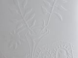 the cover of a book with a drawing of a plant on it