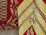 a close up of a red and gold chevroned jacket