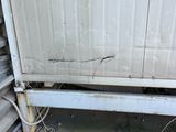 a small plant that is growing out of the side of a building