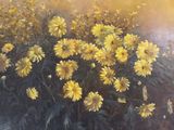 painting of a bunch of yellow flowers in a field on a sunny day