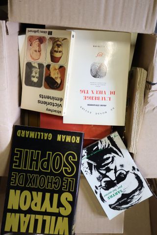 Lot de 4 cartons de littérature, histoires et romans policiers.