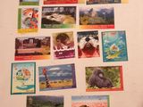 a refrigerator covered in magnets and pictures of animals