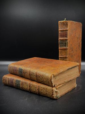 BUFFON "Histoire naturelle des oiseaux" (3 volumes).