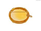 an image of a close up of a gold broochle on a white background
