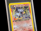 une image d'une carte Pokémon dans un étui en plastique