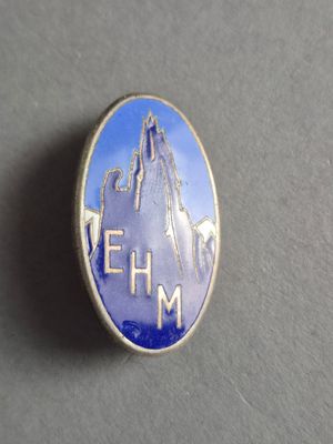 une image représentant un pin's avec une montagne en arrière-plan