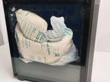 a picture of a picture of a stuffed animal in a display case