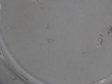a close up of a plate on a table