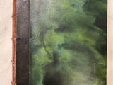 un vieux livre posé sur une table recouverte d'une couche d'eau verte