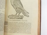 an open book with a drawing of a bird on it