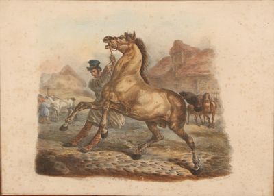une photo d'un cheval qui court sur un chemin de terre