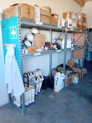 a room with a lot of items on the shelves