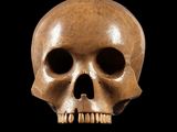 a skull that is sitting on a black surface