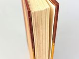 Photo 9/9 du lot