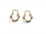 a pair of gold earrings on a white background