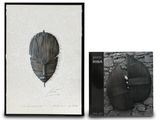 two framed photographs of a piece of art with a feather on it
