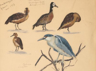 quatre oiseaux perchés sur une branche d'arbre