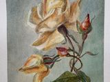 a painting of a yellow rose on a blue background