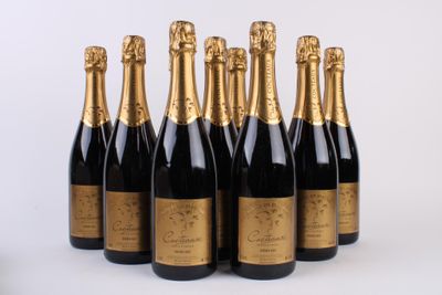 six bouteilles de champagne alignées sur une surface blanche