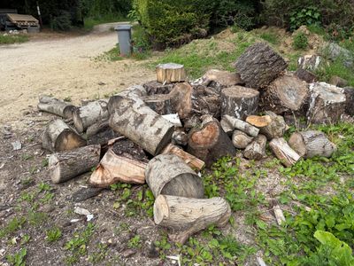 un tas de bûches posé par terre à côté d'un chemin de terre