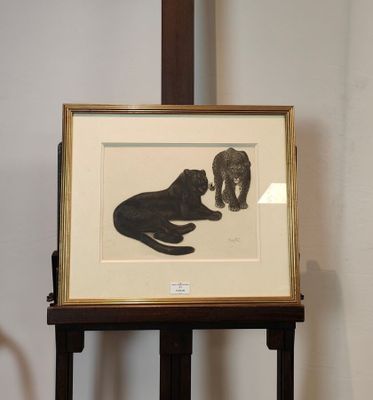 une photo encadrée représentant un chat et un chien, posée sur un socle